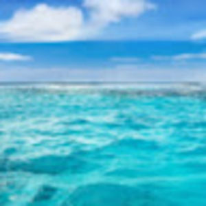 Meet your Posher, Bianca